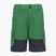 Children's trekking shorts LEGO Lwpayton 300 green 11010121