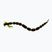 Westin BloodTeez Worm Teez 8-ounce black chartreuse rubber lure P001-563-006