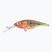 FishTank Charlie Parrot wobbler PRD-CH5F-PR