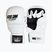 Grappling gloves StormCloud Hurricane white/black