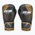 Boxing gloves StormCloud Lynx black/gold