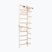 RINAGYM gymnastic ladder SPR A white
