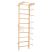 RINAGYM gymnastic ladder SPR B