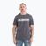 Pitbull Eighty Nine Dog men's t-shirt graphite