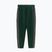 Men's trousers Pitbull Track Pants Powers bottle green