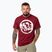 Men's Pitbull Logo Palms t-shirt burgundy