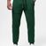Men's trousers Pitbull Small Logo HD Track hunter green