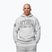 Men's sweatshirt Pitbull Badger Hooded grey/melange