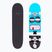 Fish Skateboards Pro Bart 8.0" classic skateboard