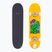 Fish Skateboards Beginner Superior 8.0" classic skateboard