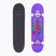 Fish Skateboards Beginner Huron 8.0" classic skateboard