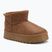 Women's snow boots Lee Cooper LCJ-25-32-3653L tan