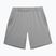 Men's training shorts 4F grey 4FSS23TFSHM240-25M