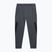 Men's training trousers 4F grey 4FSS23TFTRM294-23S