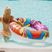 AQUASTIC colour swimming wheel ASR-119B