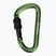 Salewa D-Shape Carbiner With Screw green 00-0000034102