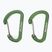 Salewa Flat Wiregate carabiners 2 pcs. green 00-0000034103