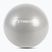 TREXO Gymball TXO-B4Z007-GY 55 cm grey