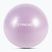 Gymnastic ball TREXO TXO-B4Z008-VT 65 cm purple