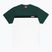 PROSTO men's t-shirt Plooz green