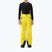 Kids' ski trousers 4F Fnk M0953 yellow