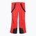 Men's ski trousers 4F Fnk M1155 red