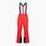 Men's ski trousers 4F Fnk M1155 red