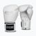 Boxing gloves StormCloud Muay Thai Blizzard 2.0 white/silver