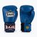 Boxing gloves RAJA BOXING Single Standard Genuine Leather blue