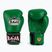 Boxing gloves RAJA BOXING Single Standard Genuine Leather green