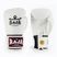 Boxing gloves RAJA BOXING Single Standard Genuine Leather white