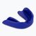 Jaw protector RAJA BOXING RMG blue 