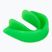 Jaw protector RAJA BOXING RMG green 