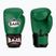 Boxing gloves RAJA BOXING Single Semi Leather green