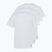 Men's T-shirt PROSTO Basic 3Pack white
