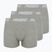Men's boxers PROSTO KL252MACC 3 pairs gray