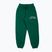 MANTO men's training trousers Varsity green MNS546_GRE