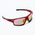 GOG Tango C red/black/polychromatic red E559-4 cycling glasses