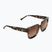 Women's GOG Millie fashion brown demi / gradient brown sunglasses E757-1P
