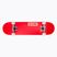Globe Goodstock classic skateboard red 10525351