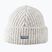 Winter hat Devold Nansen Wool grey/melange