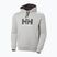 Men's Helly Hansen HH Logo Hoodie grey/melange