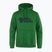 Men's Fjällräven Logo Hoodie palm green