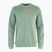 Men's sweatshirt Fjällräven 1960 Logo Badge Sweater misty green