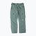 Men's Colourwear Flight dk sage snowboard trousers