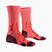 Men's socks X-Socks Trailrun Perform Crew fluo red/namib red