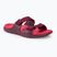 Lizard Way Slide women's flip-flops zinfandel red/virtual pink