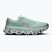 Men's running shoes On Cloudmonster 3 brook/flurry