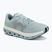 Men's running shoes On Cloudflow 5 flurry/wash