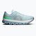 Men's running shoes On Cloudflow 5 flurry/wash